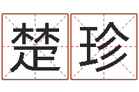 陈楚珍如何学算命-男孩名字库