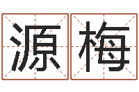 许源梅宝宝起名字网站-免费起名器