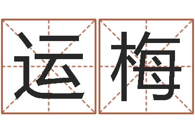 胡运梅命运首-广告装饰测名公司名字