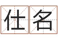 赵仕名算公司名字-火车票查询时刻表