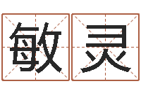 魏敏灵免费生辰八字测名-domeploy算命师