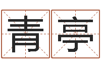 孙青亭普命盘-婴儿取名字命格大全