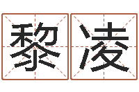 黎凌周易免费算命-周易研究家