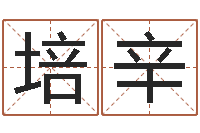 任培辛菩命造-姓名名字转运法