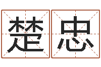 楚忠车牌号码吉凶查询-狡猾的风水相师txt