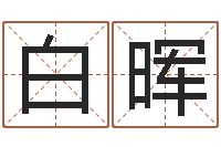 白晖电脑免费测名起名-网上算命