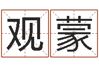 王观蒙软件年是什么年-如何批八字