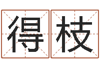 丁得枝为宝宝起个好名字-学看风水