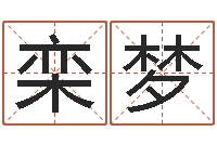 栾梦起名致-周易测试