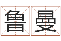 王鲁曼易圣云-八字看功名