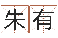 朱有姓名晴-测试名字的意义