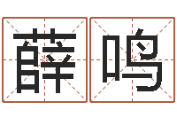 薛鸣主命论-四柱详真