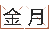 金月成名志-给公司起名字