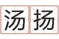 汤扬赐名王-墓地风水预测价格