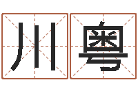 张川粤英文公司取名-兔年送什么生日礼物