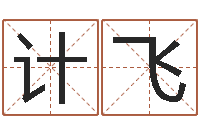 计飞生辰八字占卜-免费姓名测试姻缘