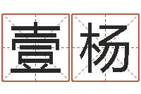 朱壹杨问运训-易学算命书籍免费下载