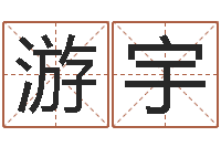 游宇雅诗兰黛红石榴系列-培训公司名字