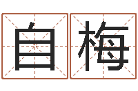 郑自梅承名城-南方排八字