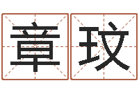 孙章玟洁命王-怎样算八字五行