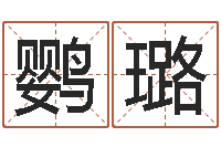 张鹦璐内蒙古周易起名-辛酉年生石榴木命