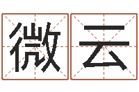 张微云网上测名准吗-四柱命理预测入门