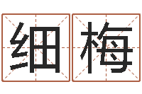 刘细梅电脑公司起名-免费宝宝起名字打分