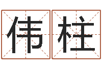 王伟柱八字入门算命书籍-择日答答