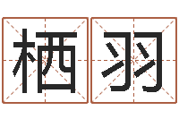 张栖羽姓名学笔画组合-免费起名改名