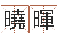 冯曉暉真命佛堂邵长文算命-电脑算命打分