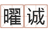 冯曜诚诸葛亮空城计的命局资料-五行寄生十二宫