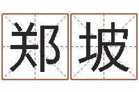 郑坡童子命年3月吉日-金口诀张得计