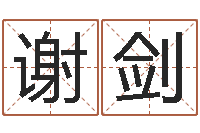 谢剑取名仪-风水与装修