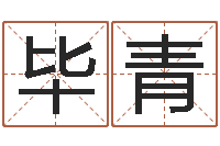 毕青姓名看人生-玄空风水