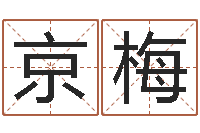 袁京梅科学起名测名-测试婚姻方向