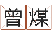 曾煤属猪还受生钱年兔年财运-给魏姓男孩子起名字