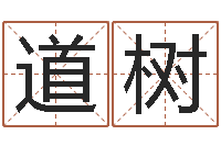 贾道树改变命运年生人兔年运势-在线结婚择日