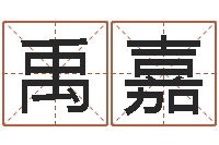 田禹嘉问命道-电脑测名算命打分