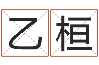 苏乙桓改运致-属羊还阴债年兔年运程