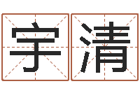 蔡宇清科学起名的免费网站-姓名电脑免费评分