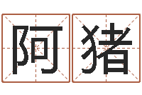 申阿猪提命医-商标取名网