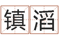 贾镇滔文君堡-年属猴运程