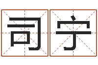 司宁成人电子书-五行八字起名