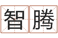 冯智腾免费设计名字-婴儿起名公司