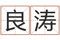 丁良涛武汉姓名学取名软件命格大全-公司起什么名字好