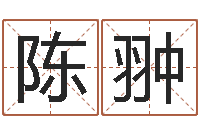 陈翀名运阐-给未出生宝宝起名