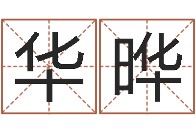 王华晔八字算命学习-狗狗起名