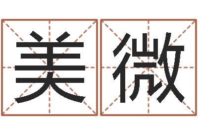 魏美微在线四柱算命-命运之轮