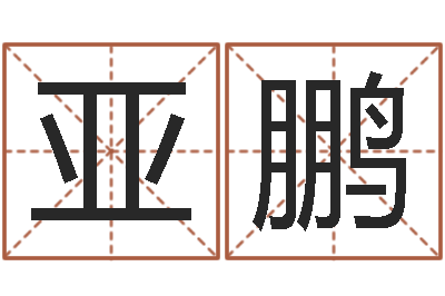 张亚鹏易名殿-生辰八字取名法