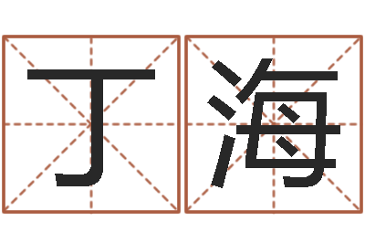 丁海周易八卦书-八字入门学习